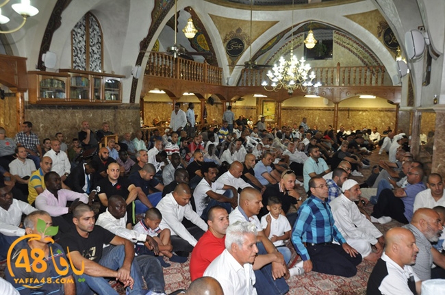 mahmoudiaya 3eda (1).JPG